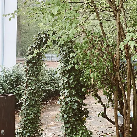 Alloggio in famiglia El Haus *