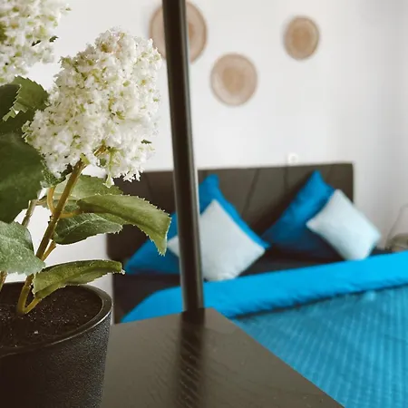 Homestay szállás El Haus